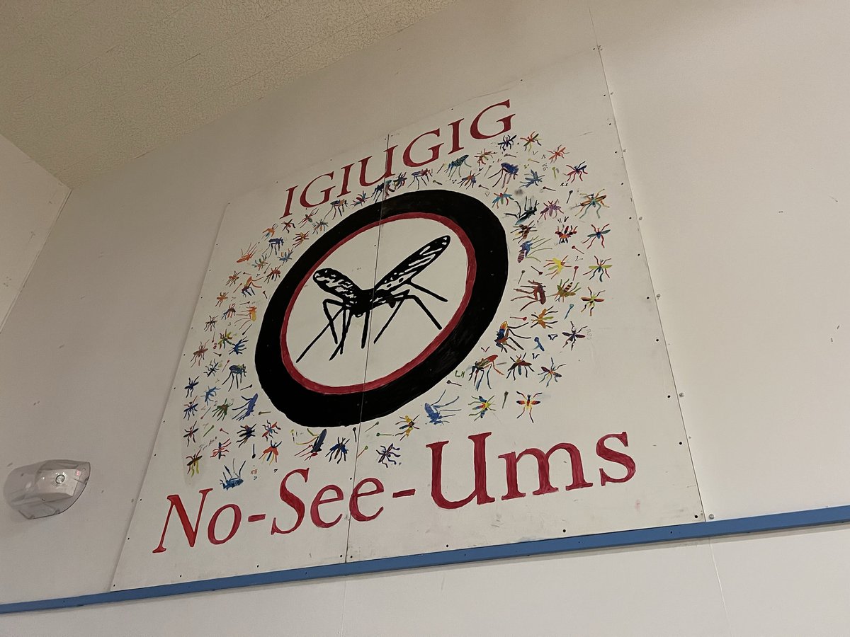 Igiugig-No-See-Ums-School-Mascot