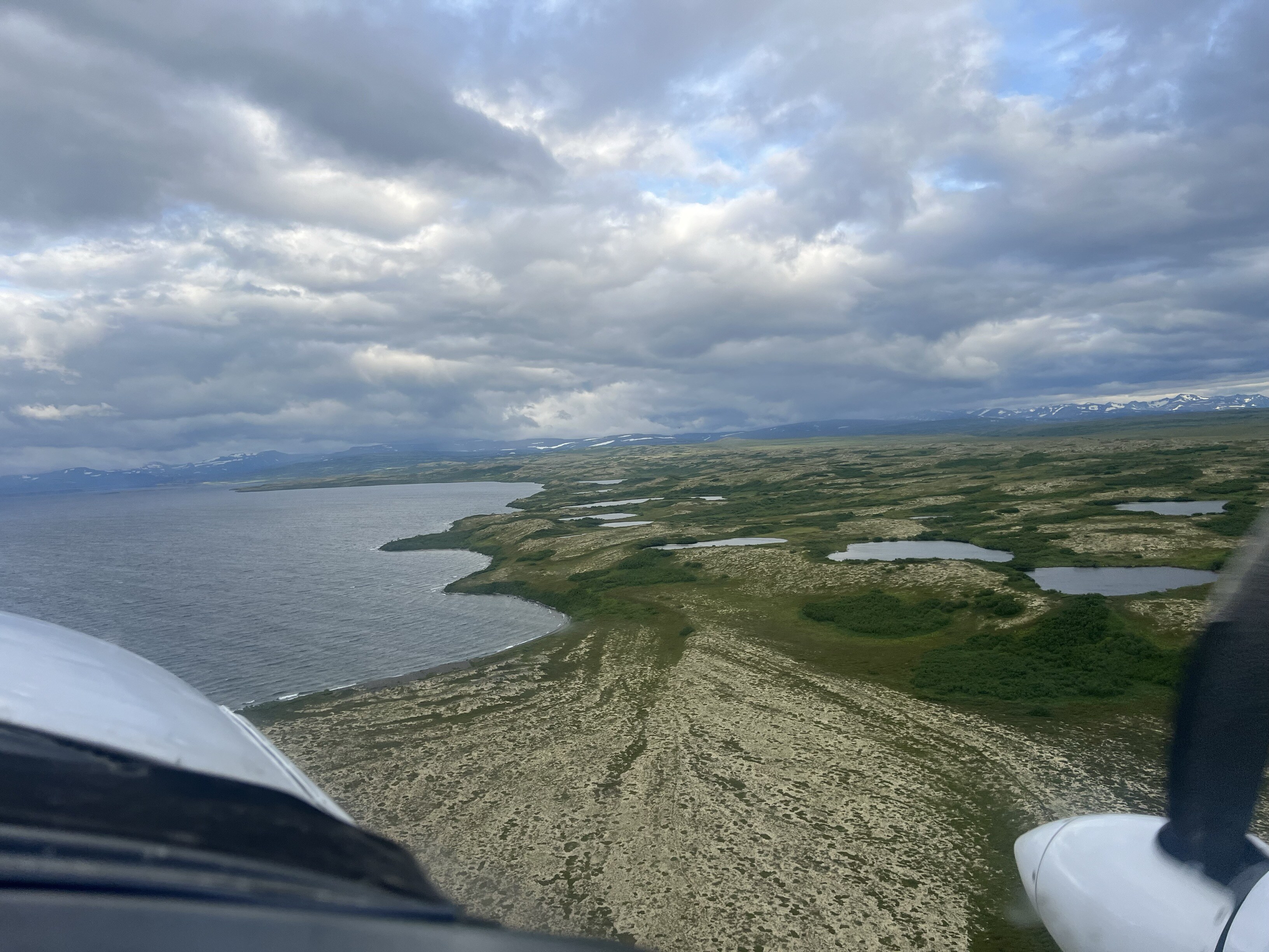 tour-of-the-homelands