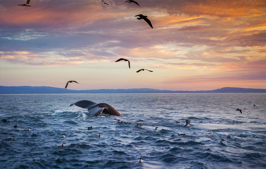 The Land, Water, and People